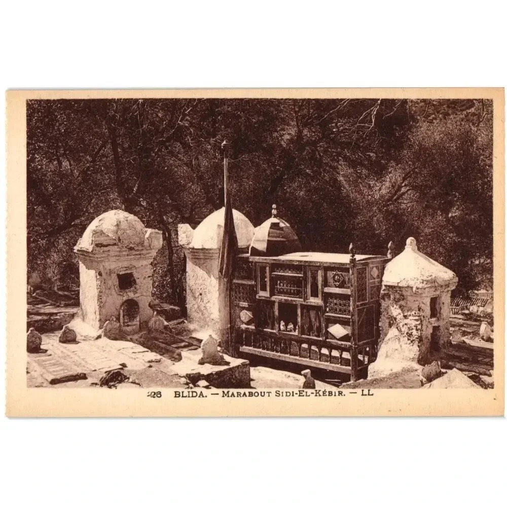 Blida Marabout Sidi-El-Kebir LL Algeria Postcard